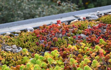 the cost of Riber green roof installation