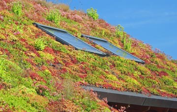 Riber living roof systems