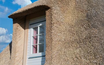 Riber thatch roof disadvantages